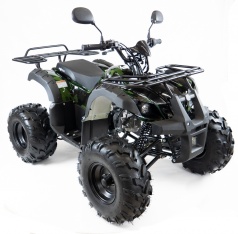 Квадроцикл MOTAX ATV Grizlik LUX125 cc green camouflage