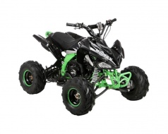 Квадроцикл бензиновый MOTAX ATV T-Rex LUX 125 cc green
